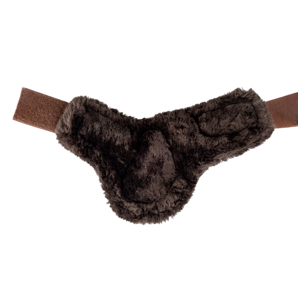 Caneleiras Dressage Acavalo Frente