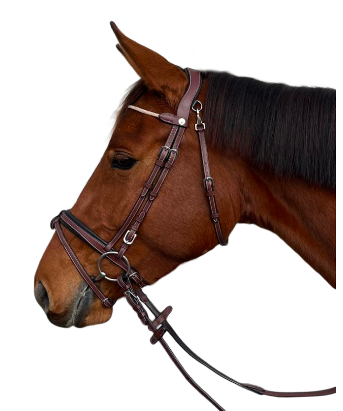 Cabeçada Canter Fancy Stitched