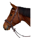 Cabeçada Canter Fancy Stitched