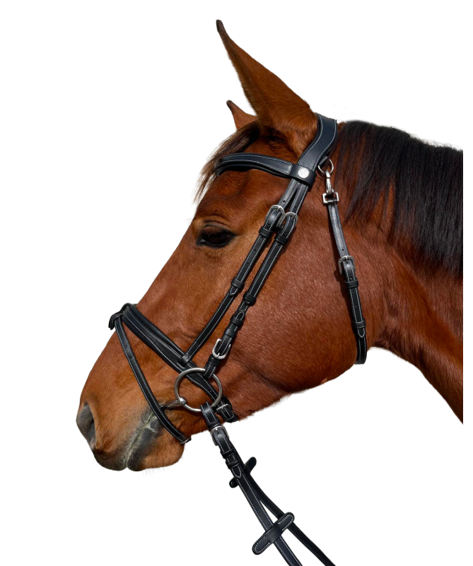 Cabeçada Canter Fancy Stitched