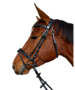 Cabeçada Canter Fancy Stitched