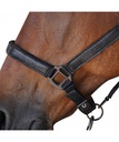 Cabeção e corda BLACK Canter 