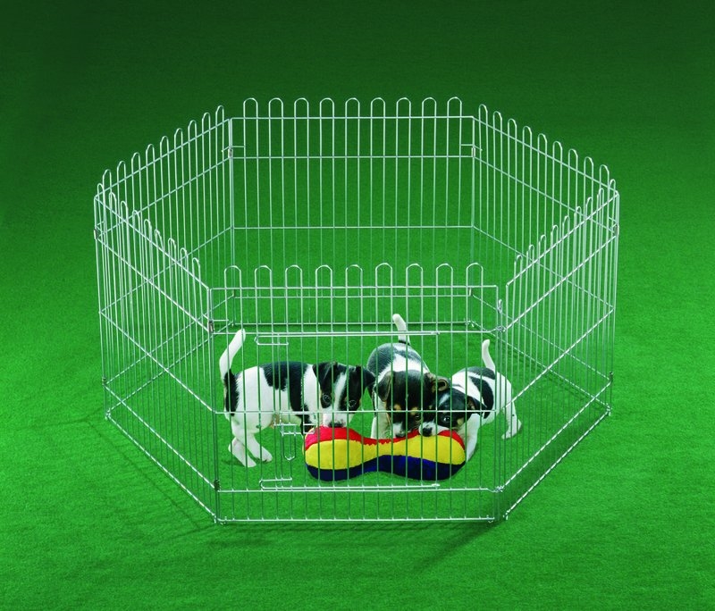 Recinto para cães