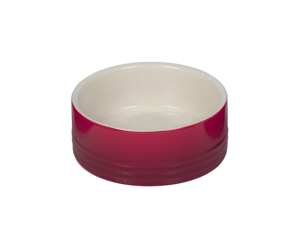 Comedouro"Gradient"