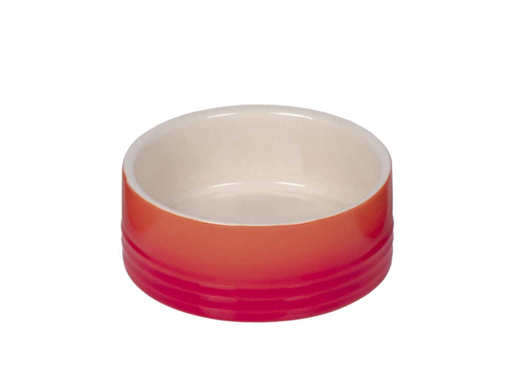 Comedouro"Gradient"