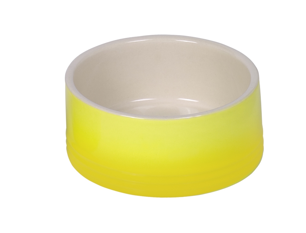 Comedouro"Gradient"