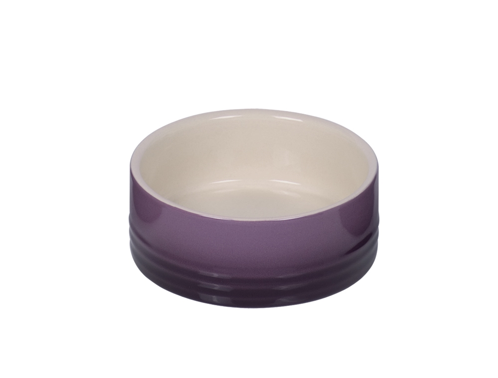 Comedouro"Gradient"