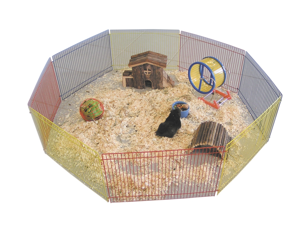 Recinto Hamster