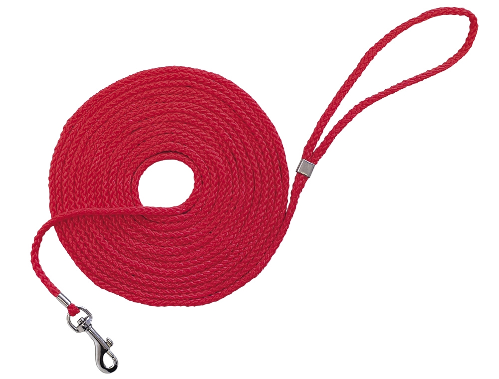 Trela de Passeio round