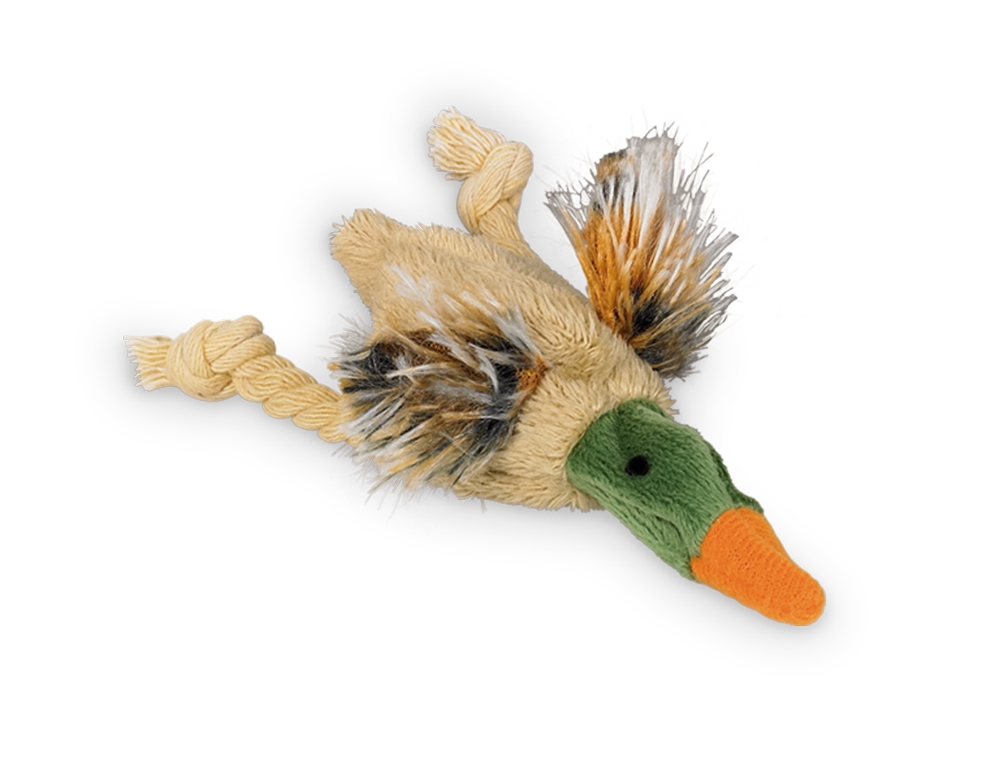 Pato com catnip