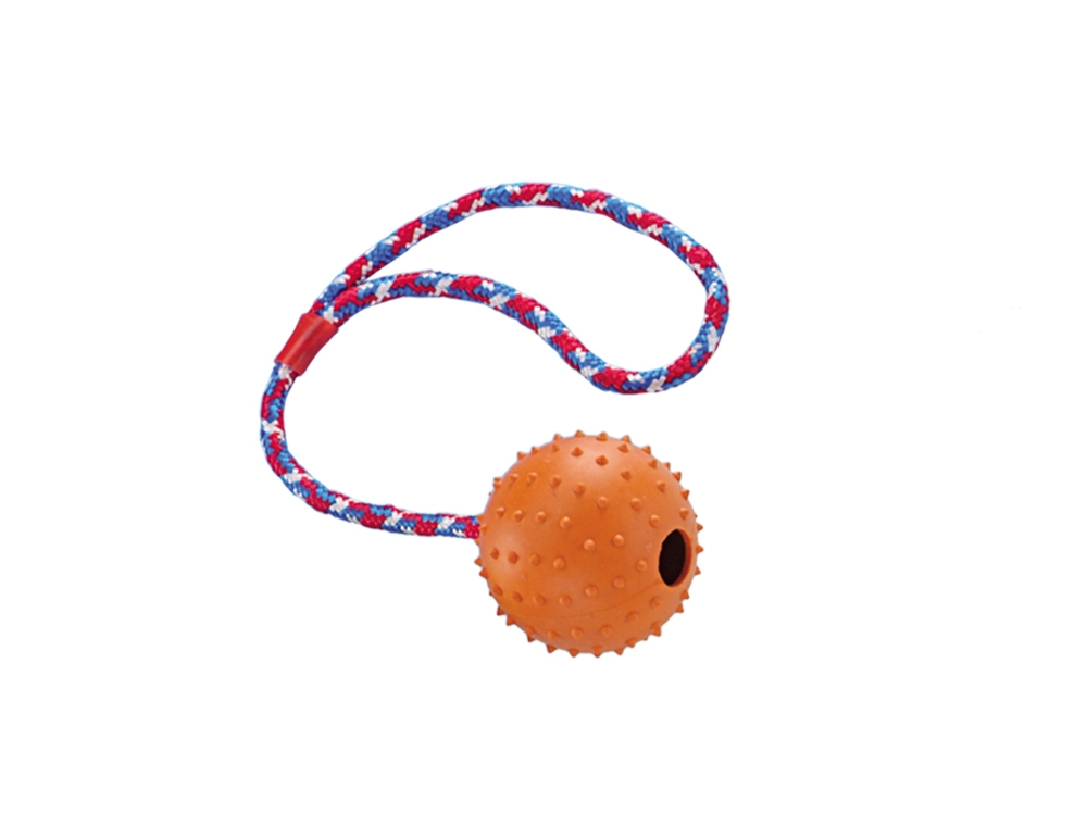 Bola com corda