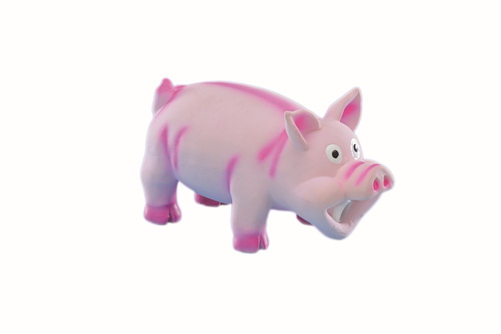 Porco Latex