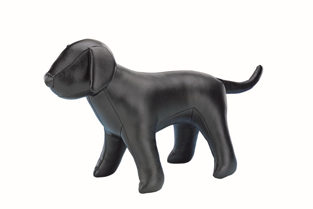 Cão Plástico