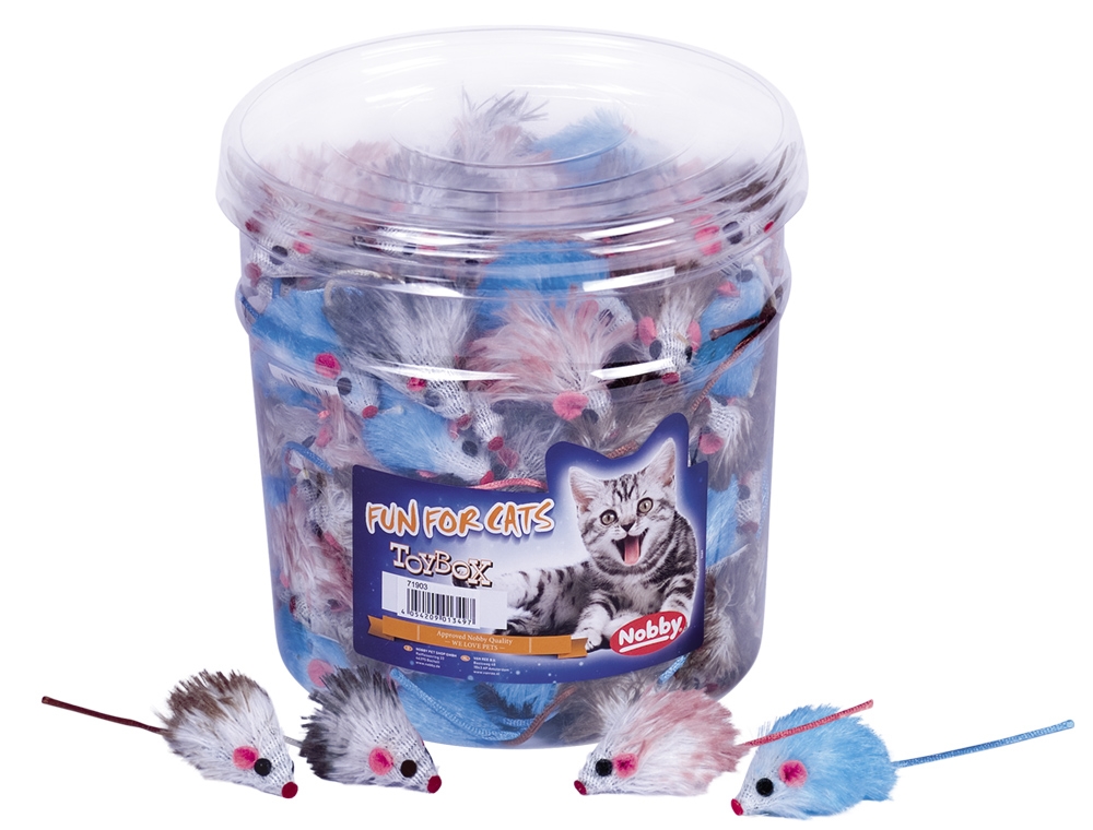 Ratinhos Gato