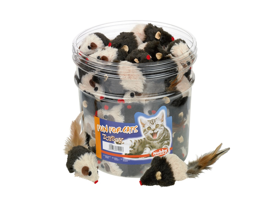Ratinhos  para Gato