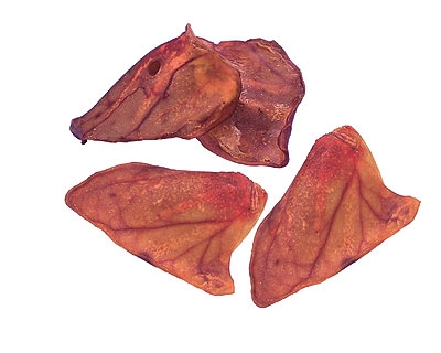 Orelha de Porco