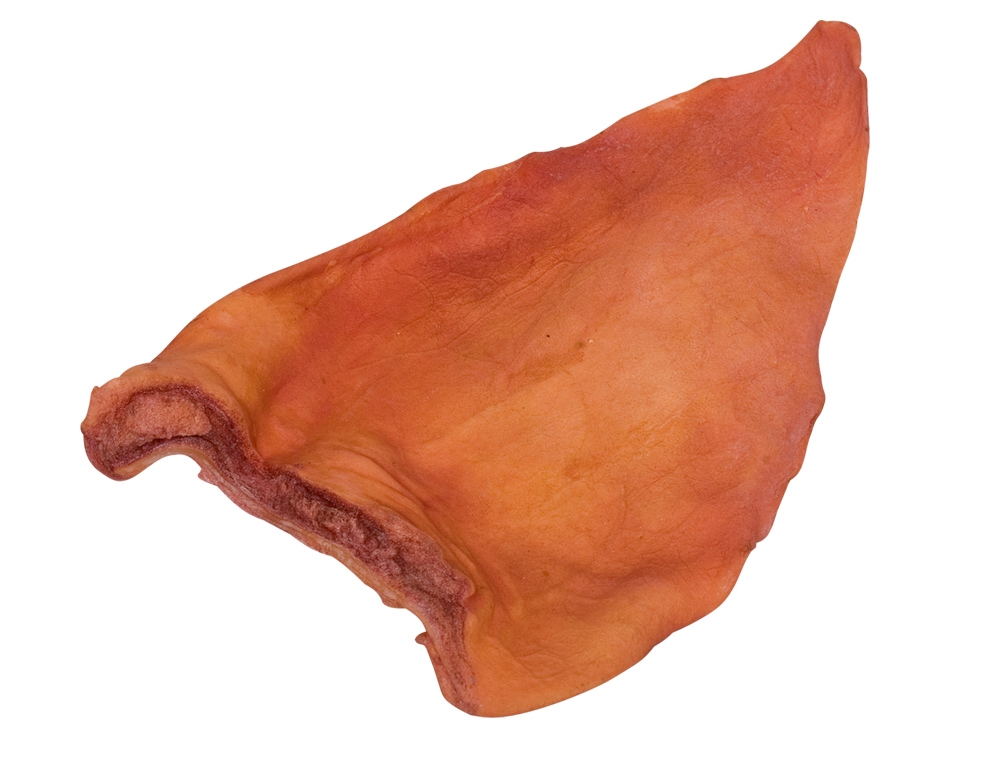 Orelha de Porco