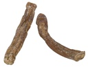 Pizzle