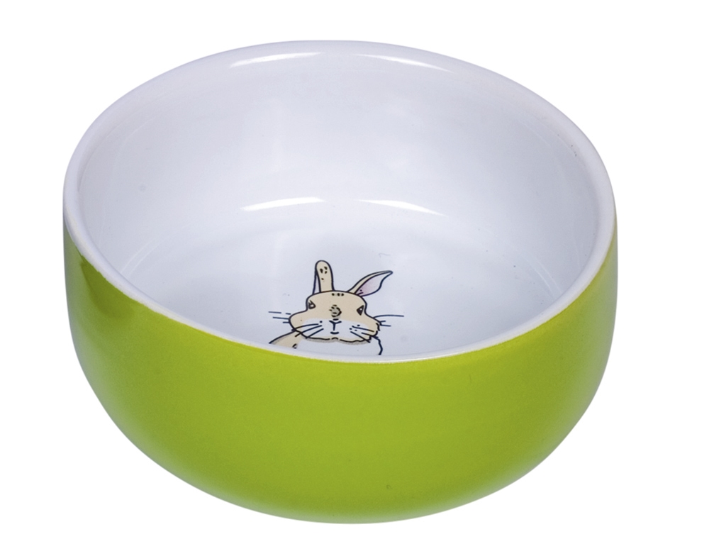 Comedouro"Rabbit"