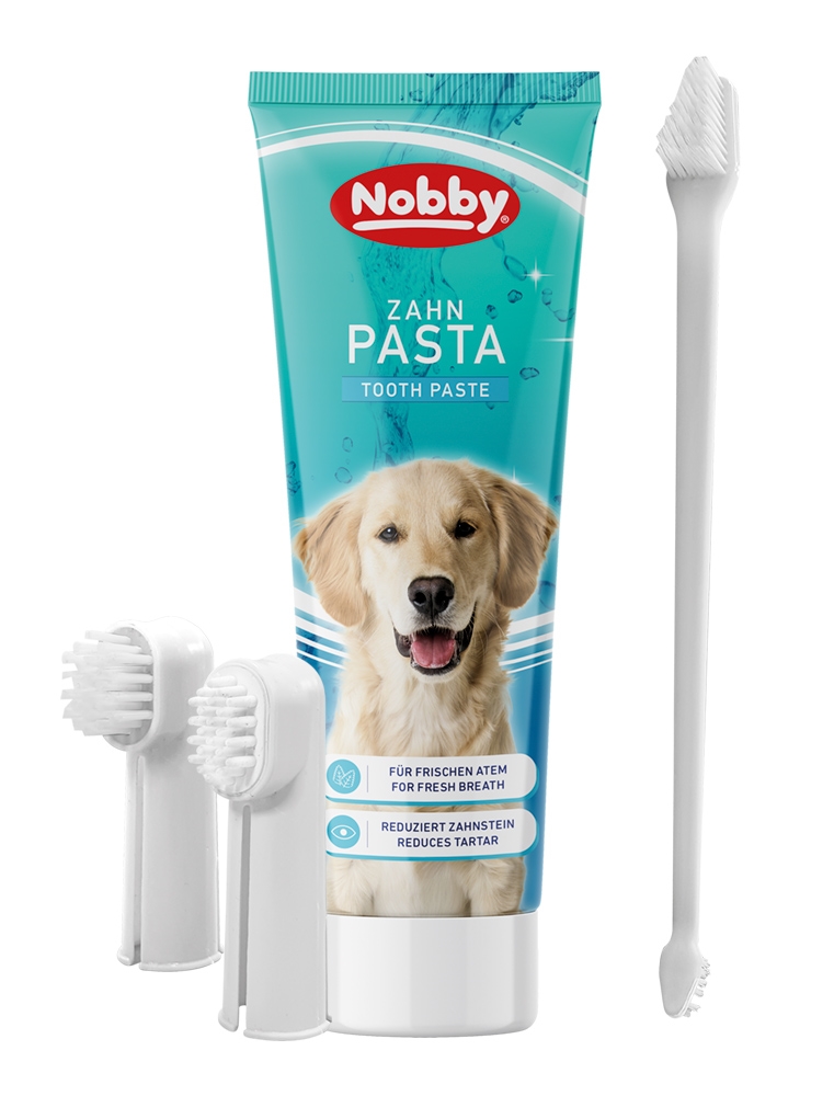 Pasta de Dentes com escova