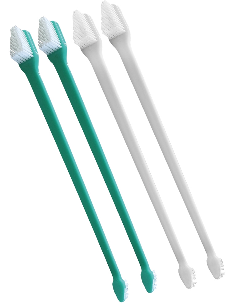 Escova de Dentes