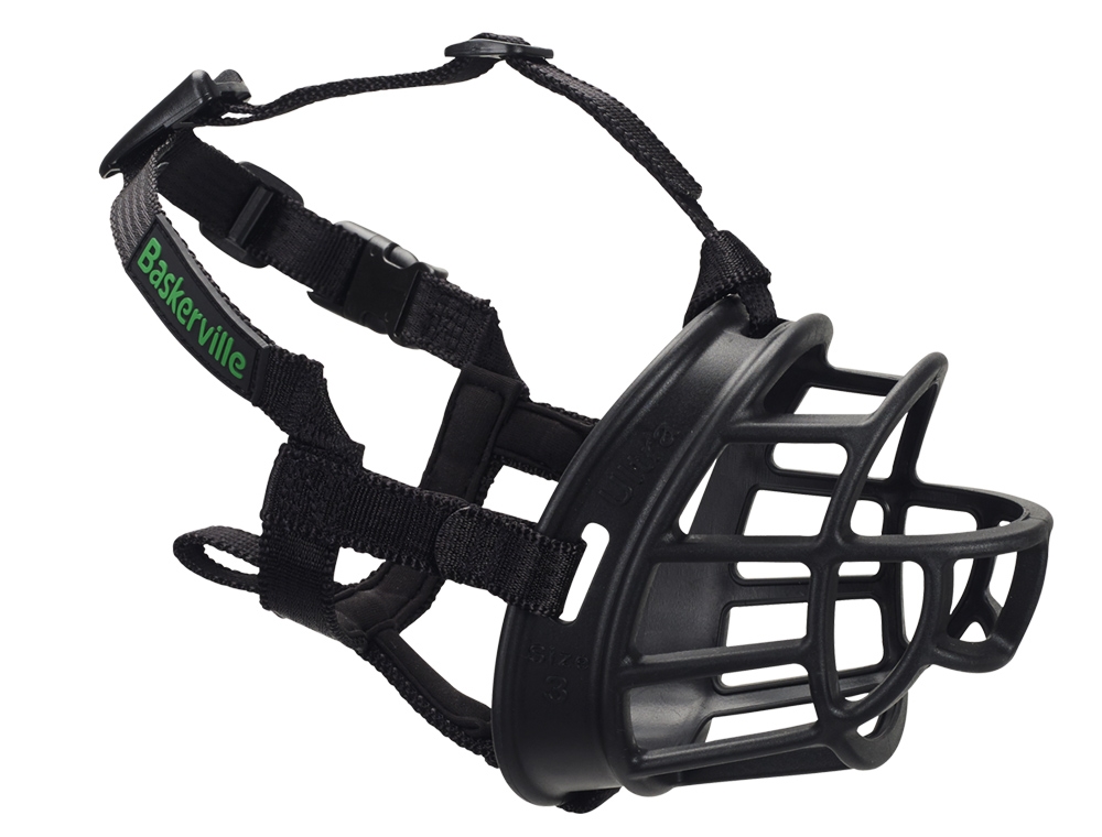 Ançaime Baskerville Ultra