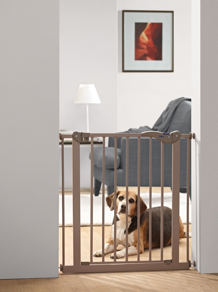 Barreira para Cães