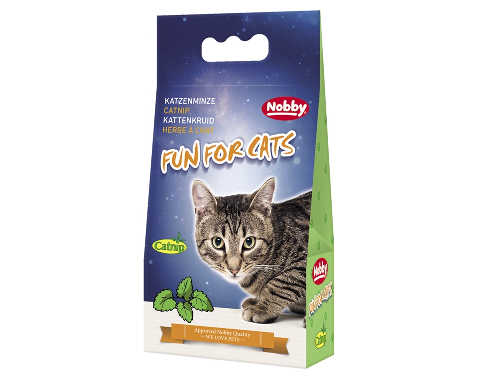 Catnip