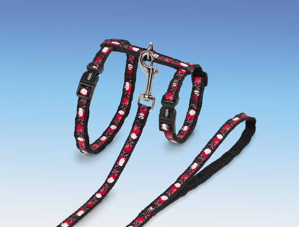 Peitoral e Trela  XL "HEART"