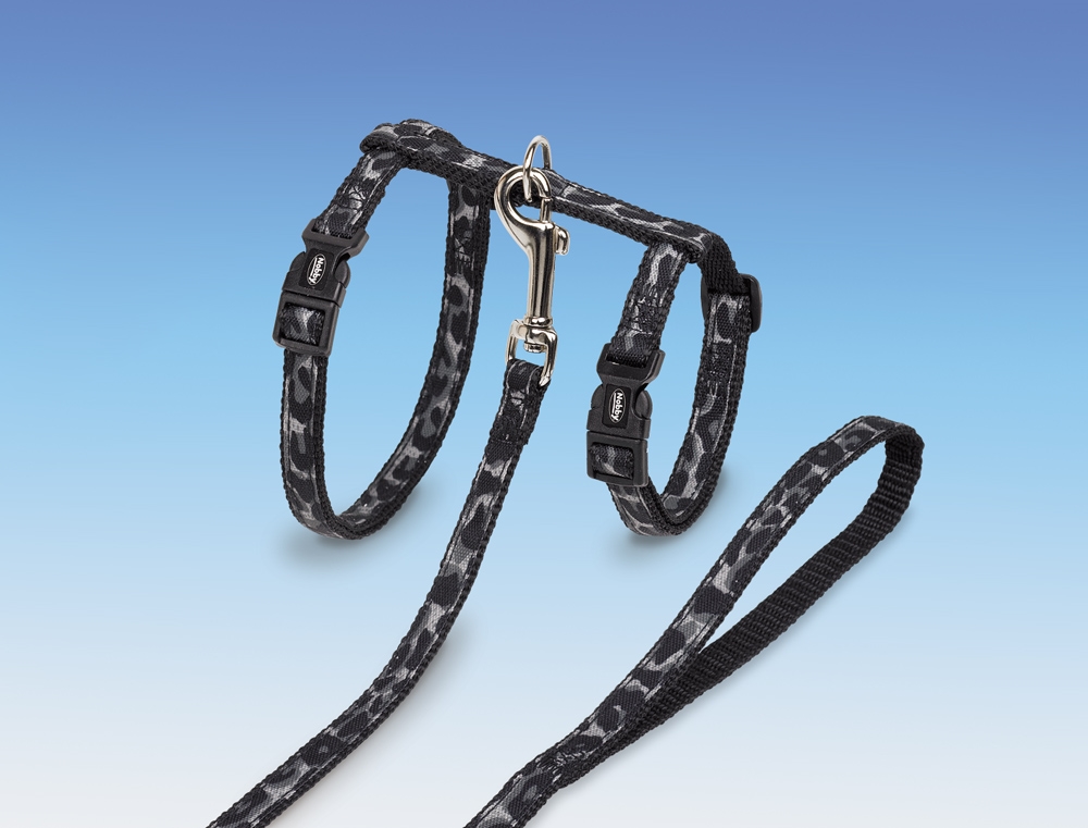 Peitoral e Trela XL "LEO"