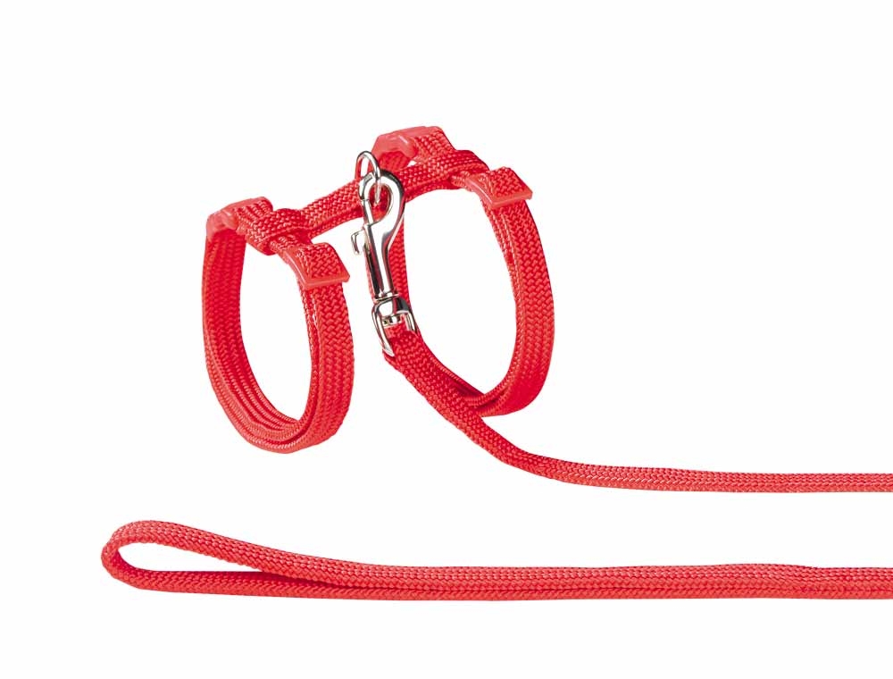 Set para Gatos