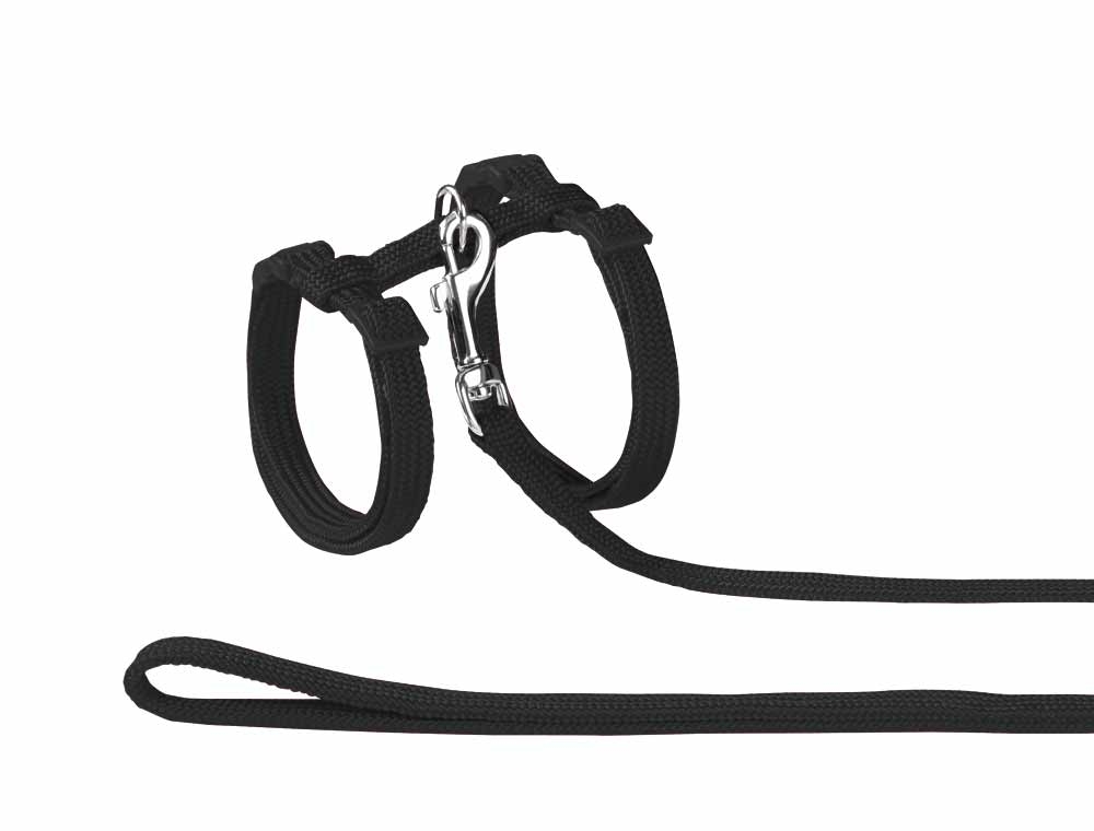 Set para Gatos