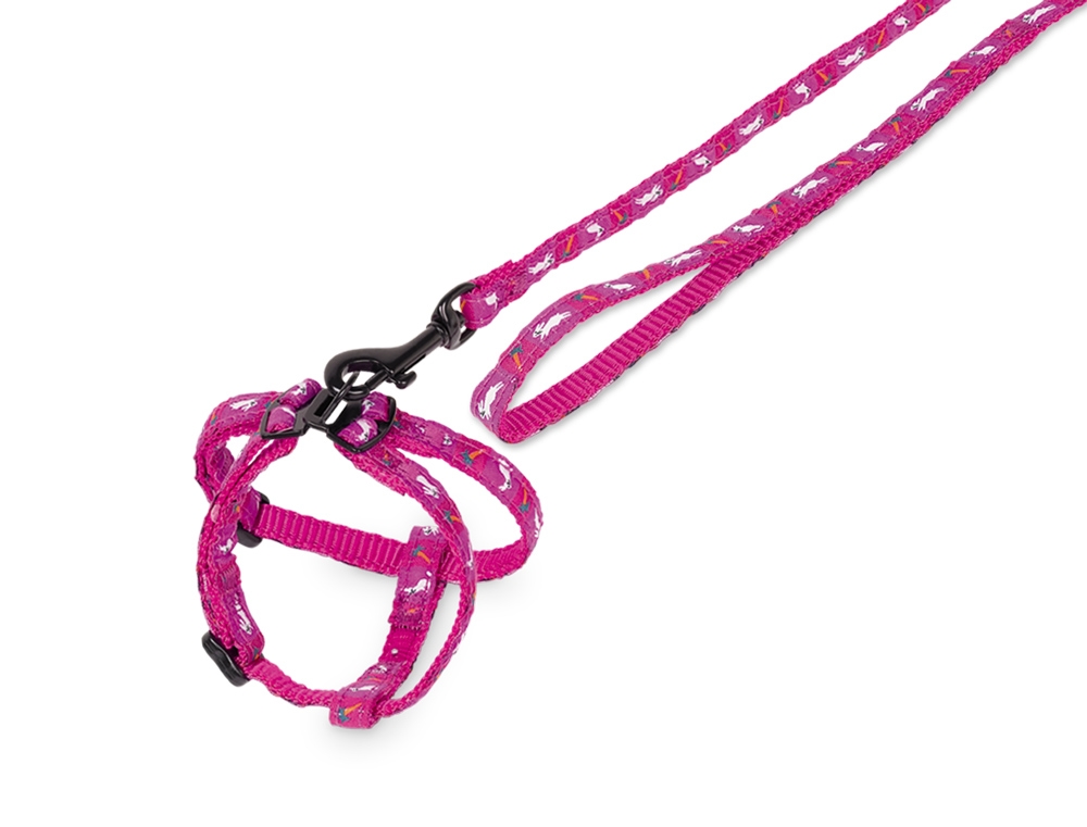 Set para Coelhos "Carrot"