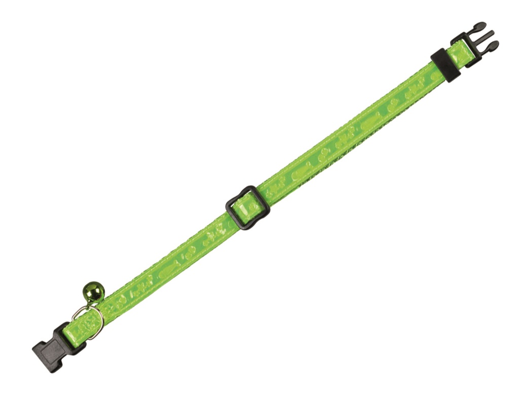 Cat Coleira Neon