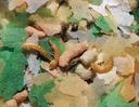 Alimento peixes de Lago mix