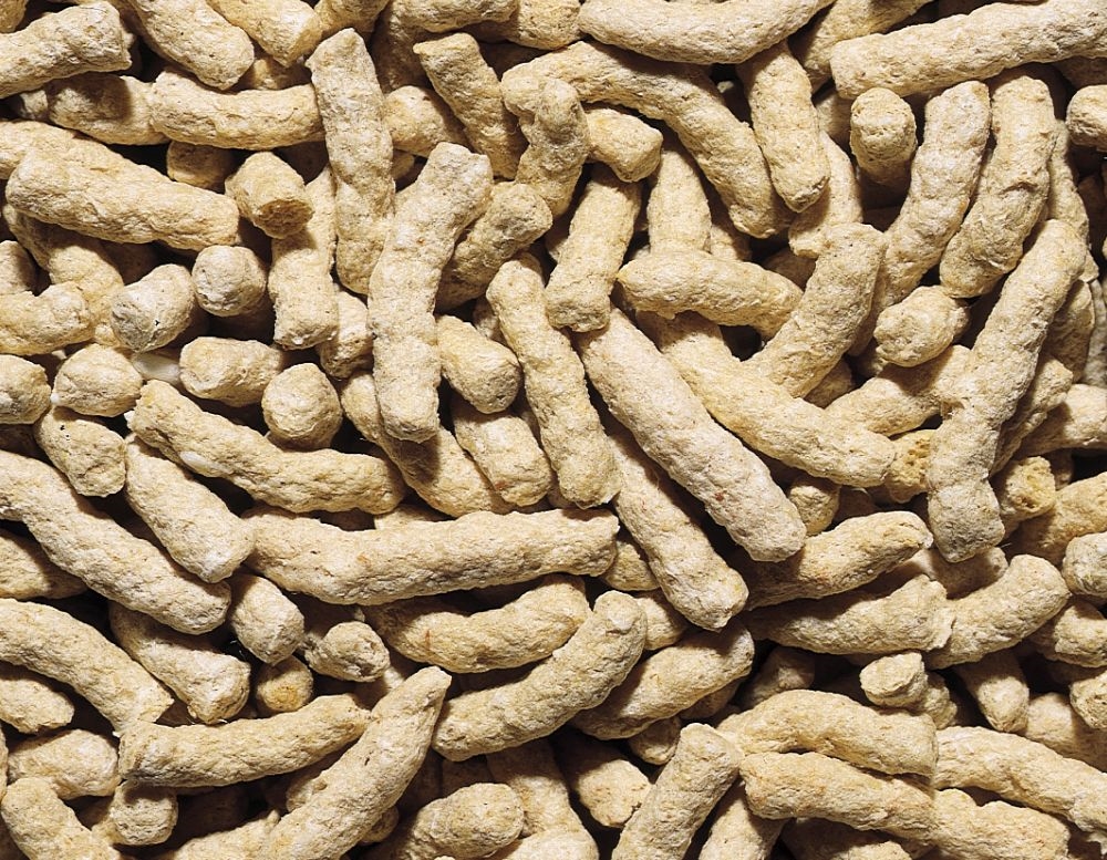 Alimento peixes de Lago sticks