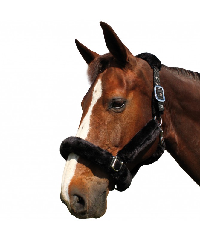 Cabeção de Viagem F&C