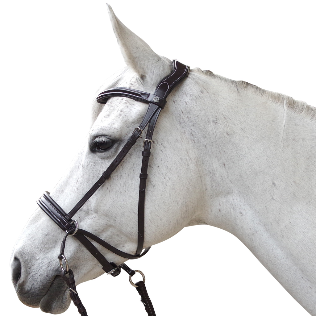 Cabeçada Bitless Canter