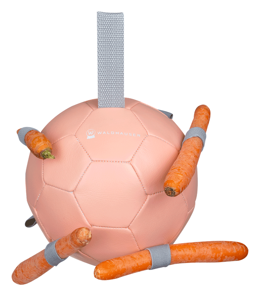 Bola para Cenouras