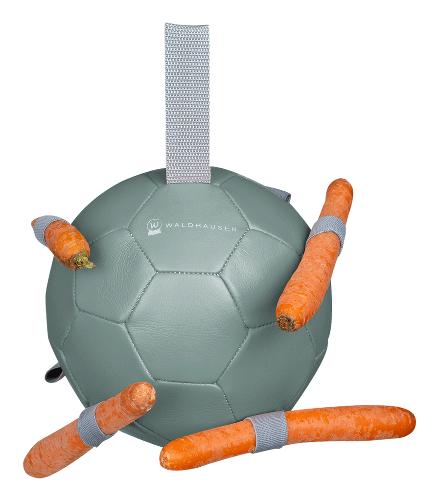 Bola para Cenouras