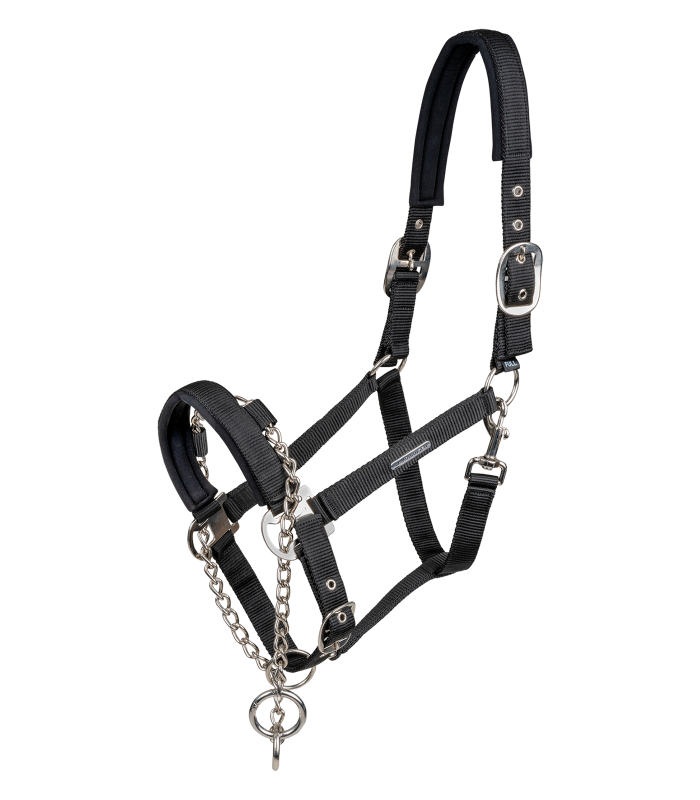 Cabeção Pro Safty