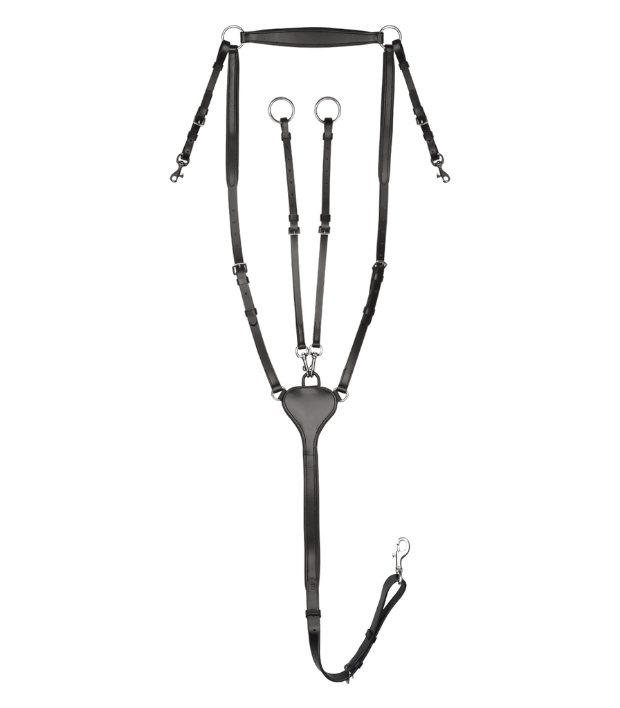 Peitoral X-Line