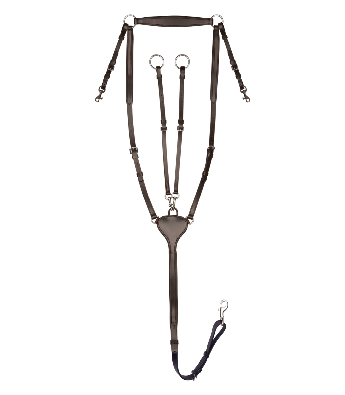 Peitoral X-Line