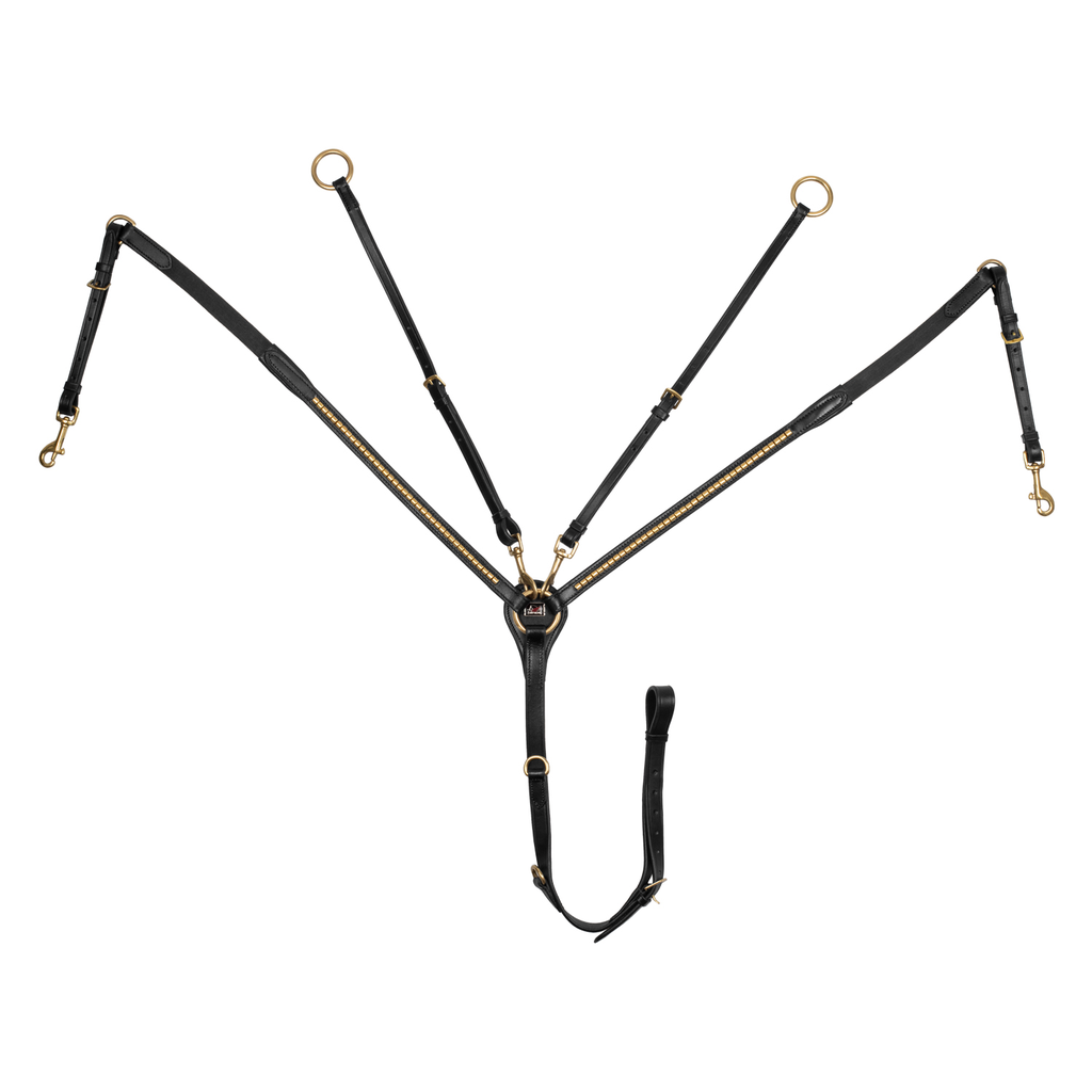 Peitoral Clincher