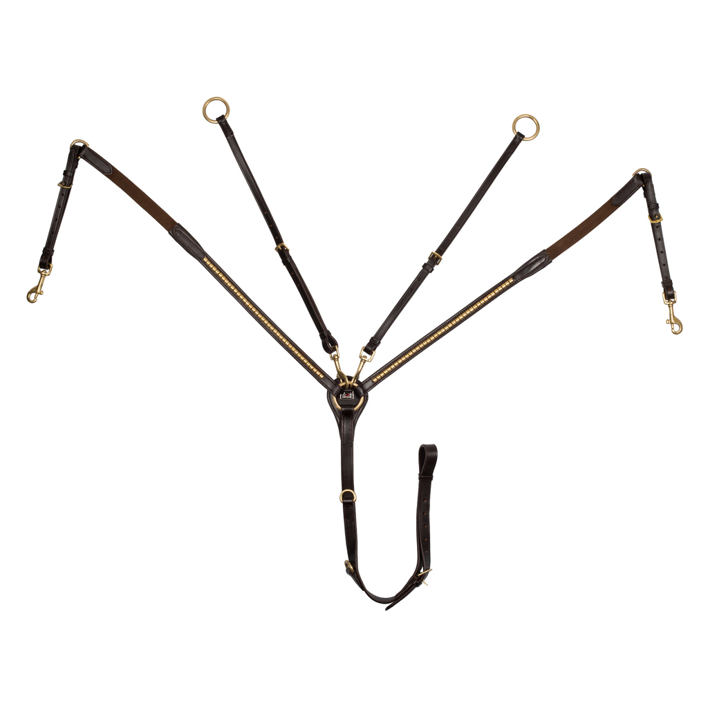 Peitoral Clincher