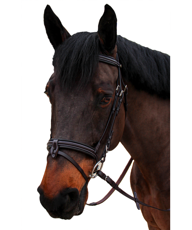 Cabeçada Canter Nino