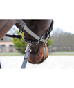 Gamarra Fixa Canter