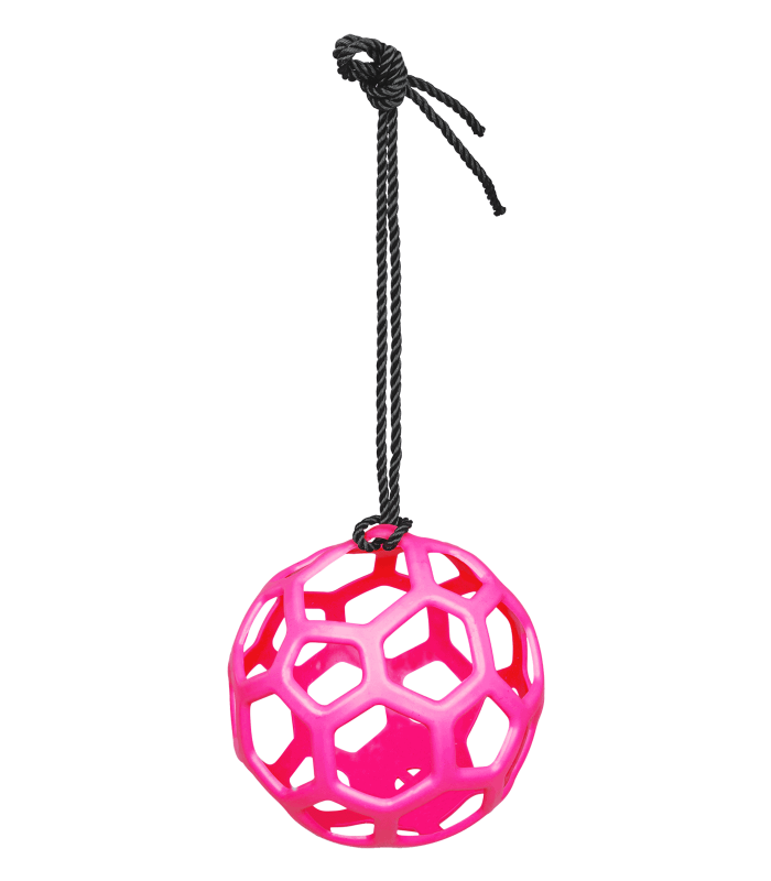 Bola de Feno