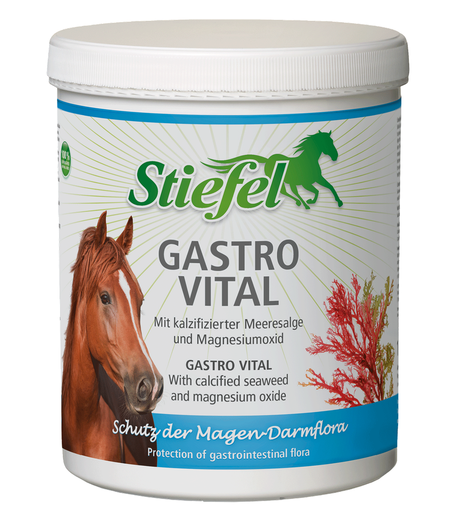 Gastro Vital Stiefel