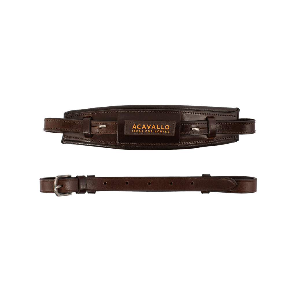 Focinheira Hackamore